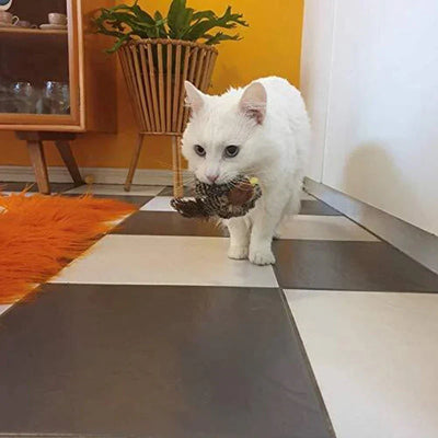 Catfri BirdToy | Interaktywna Dźwiękowa Zabawka Dla Kota