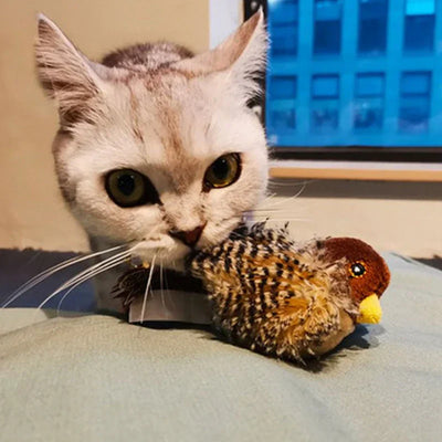 Catfri BirdToy | Interaktywna Dźwiękowa Zabawka Dla Kota