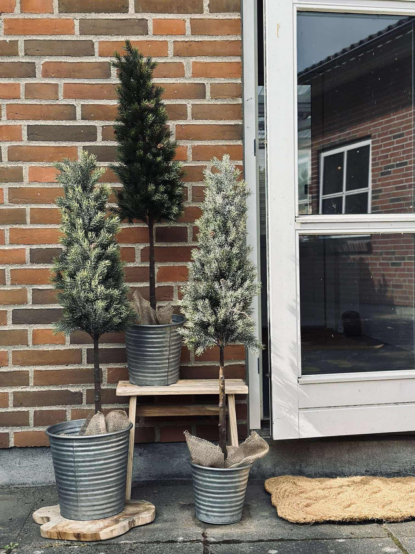 Pinetree MIX | 106 cm