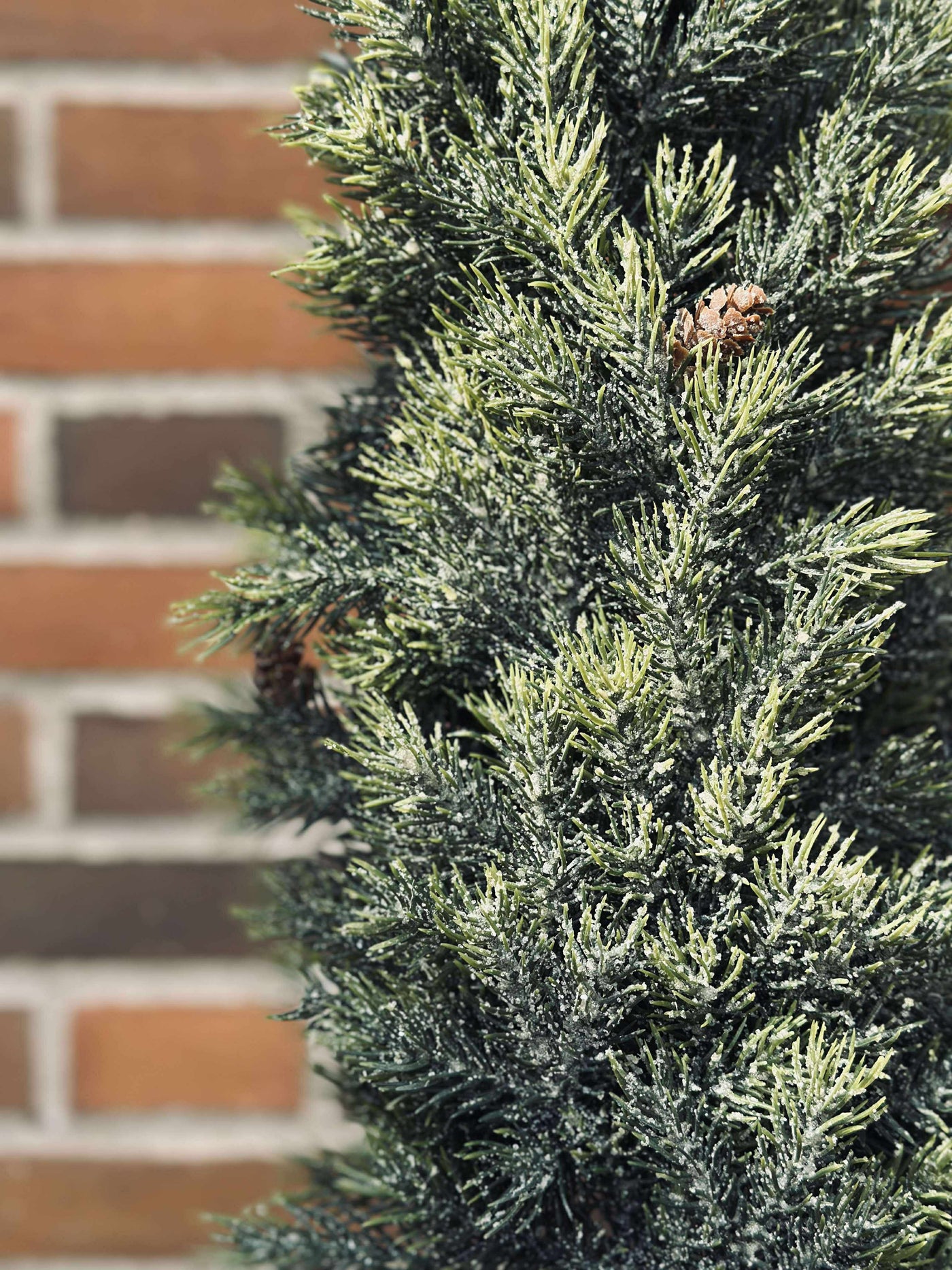 Pinetree MIX | 106 cm