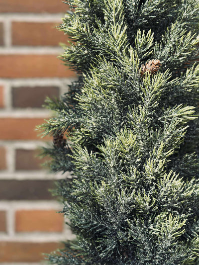 Pinetree MIX | 106 cm