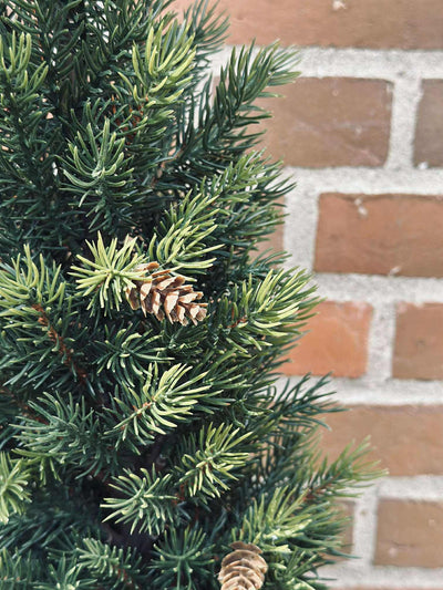 Pinetree MIX | 106 cm