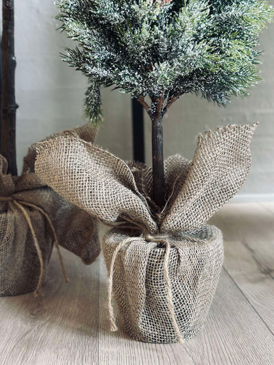 Pinetree MIX | 106 cm