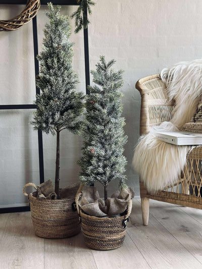 Pinetree MIX | 106 cm