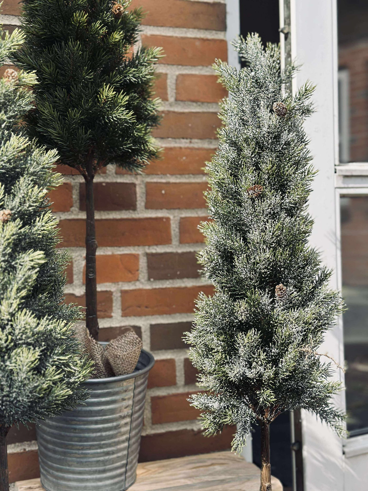 Pinetree MIX | 106 cm