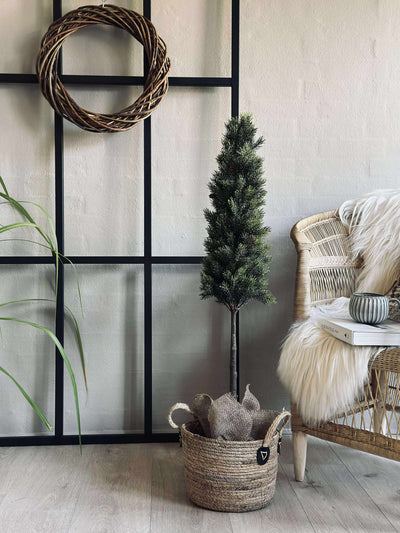 Pinetree MIX | 106 cm