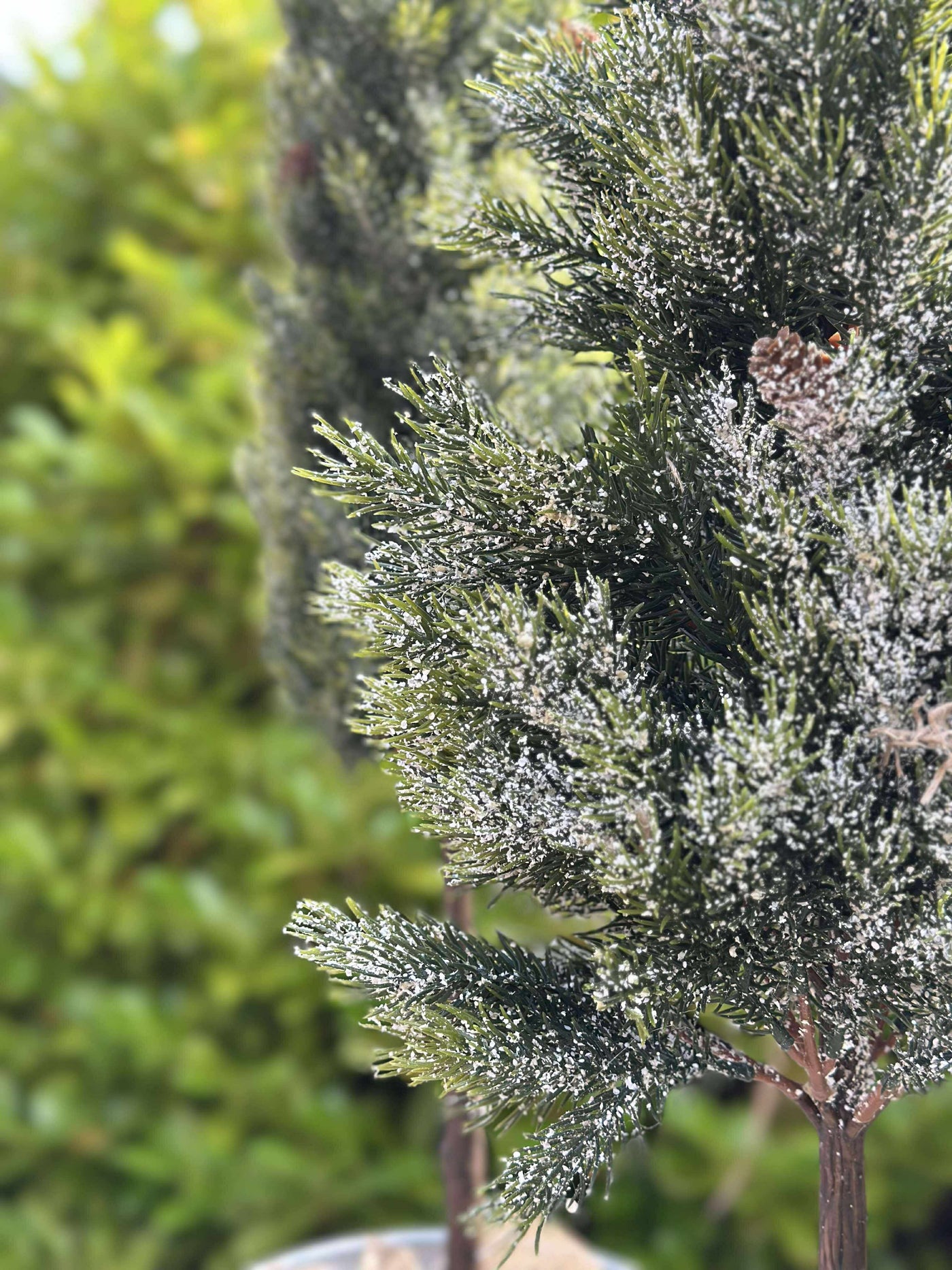 Pinetree MIX | 106 cm