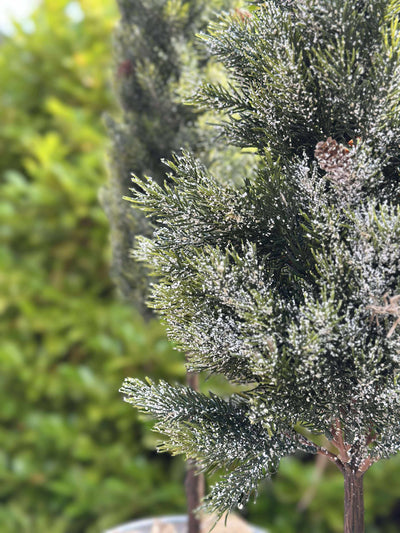 Pinetree MIX | 106 cm