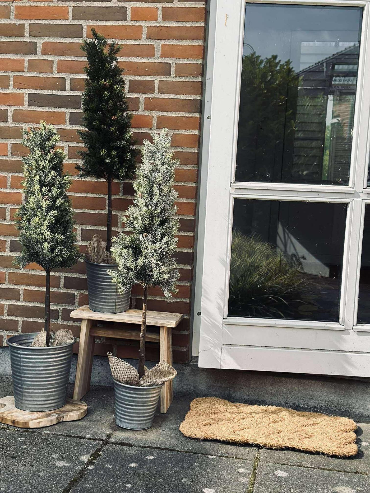 Pinetree MIX | 106 cm