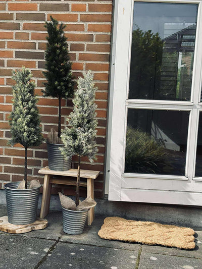 Pinetree MIX | 106 cm