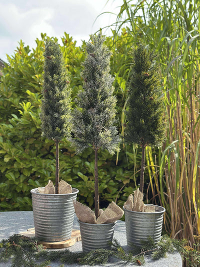 Pinetree MIX | 106 cm