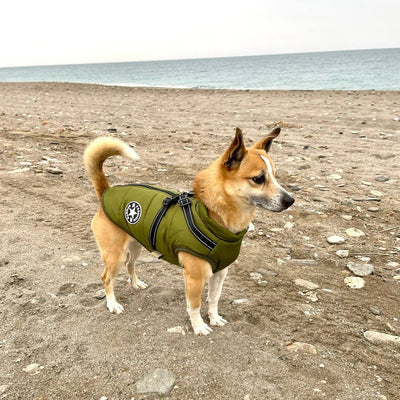 Kurtka Dla Psa | Wodoodporna, Ciepła I Stylowa Kurtka Na Zimę Dla Psów