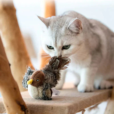 Catfri BirdToy | Interaktywna Dźwiękowa Zabawka Dla Kota