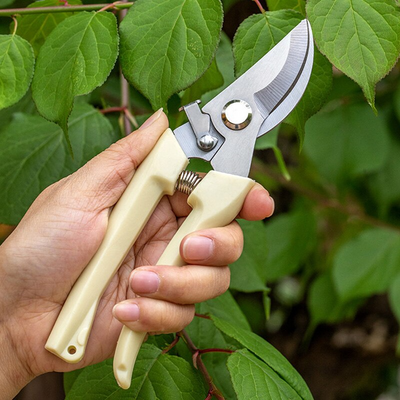 Zestaw Nożyc Ogrodowych | Precyzyjne Nożyce Do Roślin I Krzewów – Niezbędnik Ogrodnika