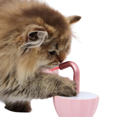 KittyBeam | Automatyczna Zabawka Dla Kota Z Laserem Led