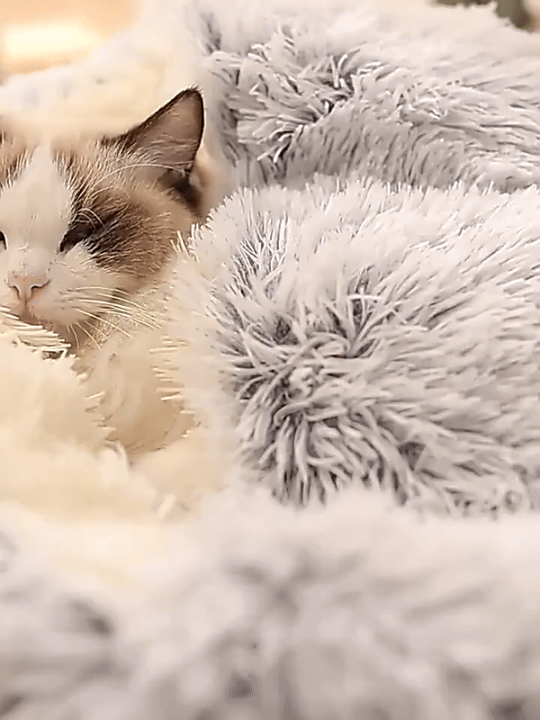 CozyCave | Przytulna Kanapa Dla Kota I Psa W Designerskim Stylu