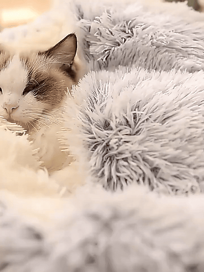 CozyCave | Przytulna Kanapa Dla Kota I Psa W Designerskim Stylu