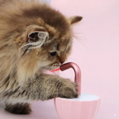 KittyBeam | Automatyczna Zabawka Dla Kota Z Laserem Led